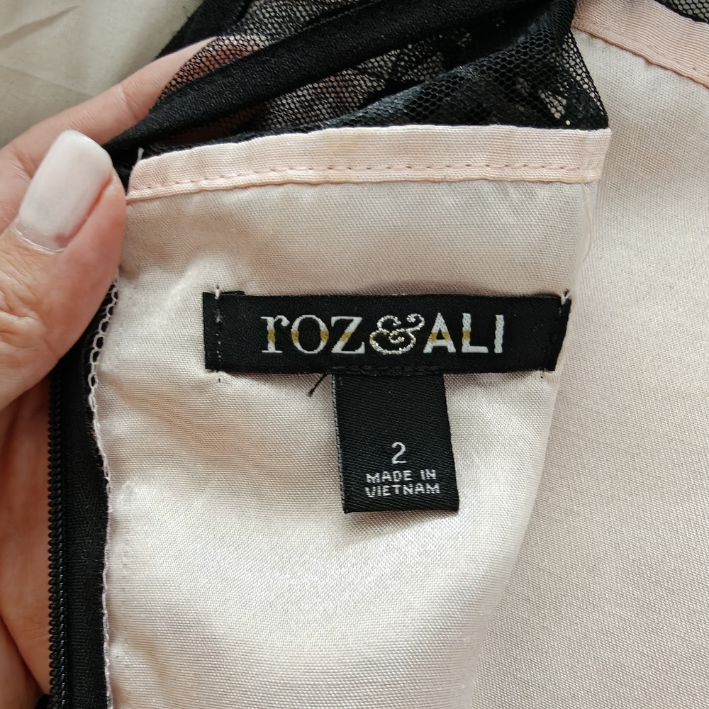 Roz & Ali Blush Pink and Black Sheer Dress Size 2 pretty evening look - Picture 5 of 7